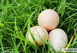 鸡蛋在常温下放了一个月还能吃吗(鸡蛋在常温下放了2个月能吃吗)
