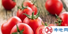 西红柿的营养价值及功效有哪些(西红柿有什么营养与功效)