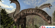 恐龙真的存在过吗